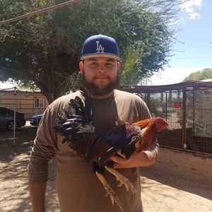 Meet your Posher, William